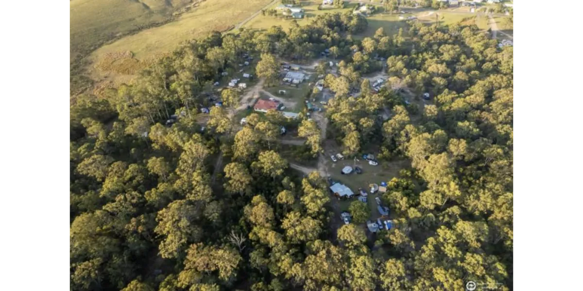 The Top 10 Hervey Bay Dog-Friendly Caravan Parks