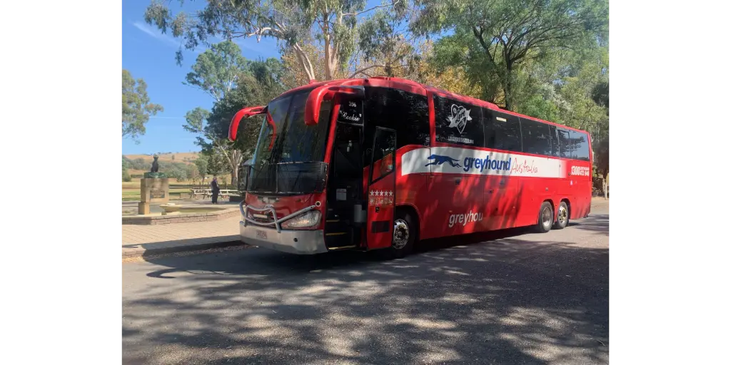 Greyhound bus