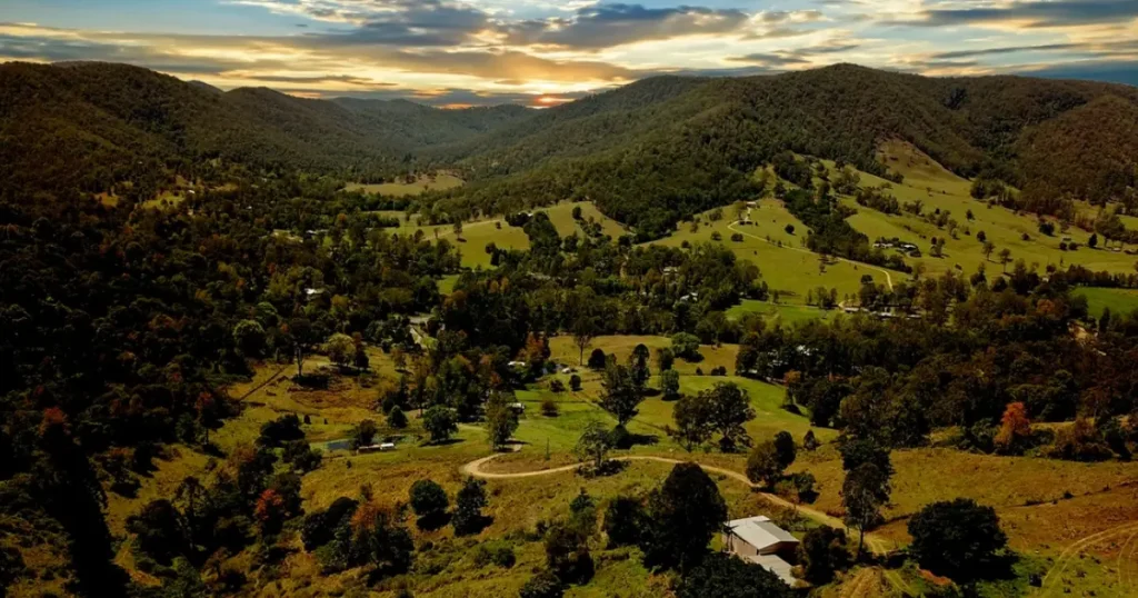 Dog Friendly Camping Brisbane 19 - Kookaburra Park