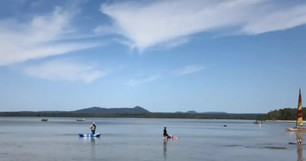 Dog Friendly Camping Brisbane 4 - Boreen Point