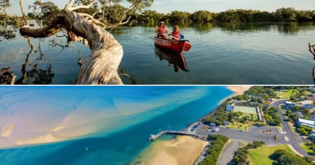 Dog Friendly Camping Brisbane 10 - Ingenia Holidays Noosa