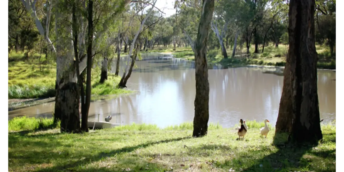 Judds Lagoon Campsite - Free Camping Near Me: 25 Free Campsites in Queensland